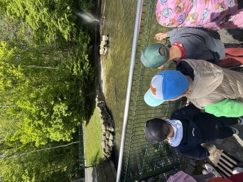 IMG_3694.jpeg