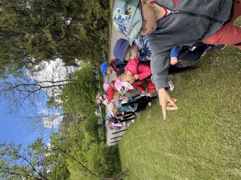 IMG_3702.jpeg