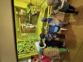 IMG_3707.jpeg