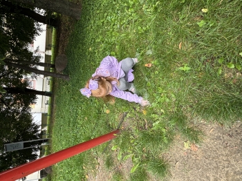 IMG_6386.jpeg