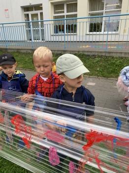 IMG_0323.jpeg