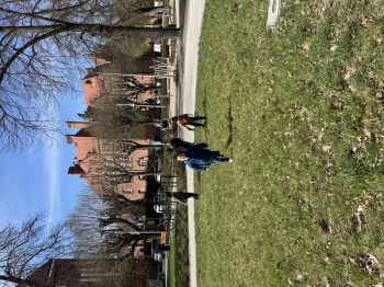 IMG_0530.jpeg