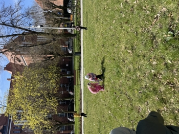 IMG_0529.jpeg