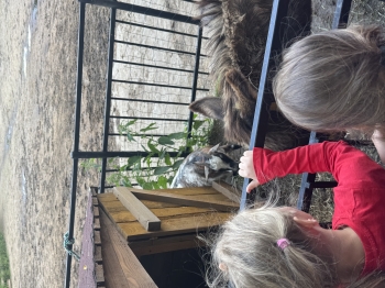 IMG_2027.jpeg