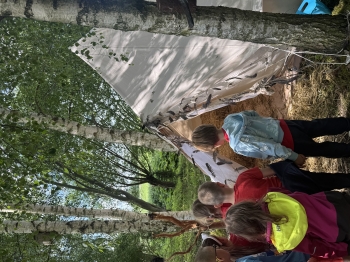 IMG_2001.jpeg
