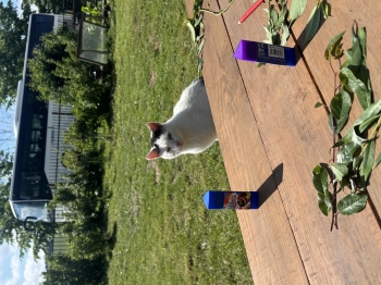 IMG_1976.jpeg