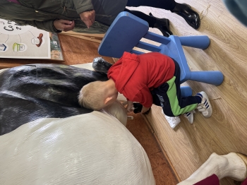 IMG_1962.jpeg