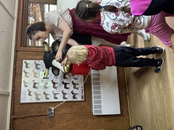IMG_1958.jpeg