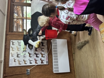 IMG_1957.jpeg