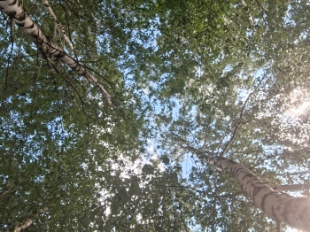 20260612_112545