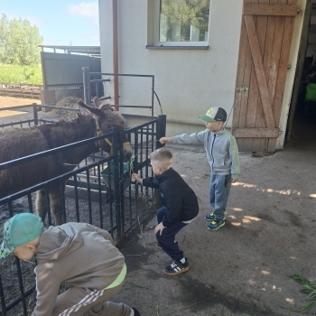 Messenger_creation_42F36B88-421A-4984-BAEE-9D95873ECE29.jpeg
