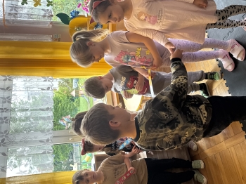 IMG_2155.jpeg