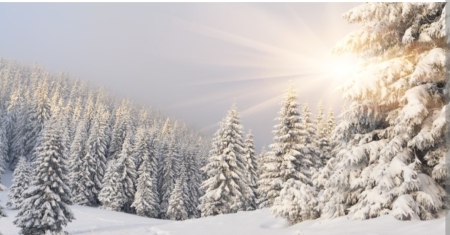 Zimowe zabawy Jeżyków 