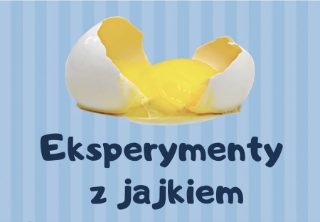 Zabawy badawcze ''Jak otworzyć jajko?''